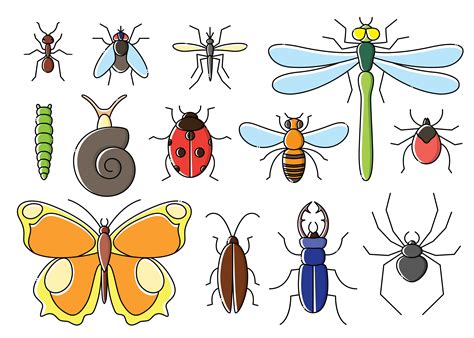 Insects Set In Flat Style Line Art Bugs Icon Collection 616291 Vector