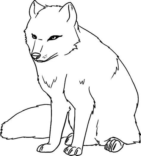 Female Artic Fox Coloring Pages Best Place To Color