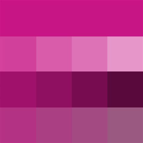 Red Violet Hue Tint Shade Tone Hue Pure Color With Tints Hue