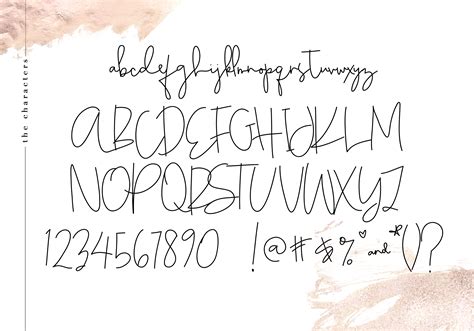 Chic Handwritten Script Font 136943 Script Font Bundles