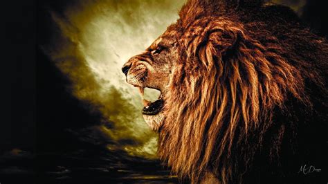 Lion Roaring Wallpaper Widescreen