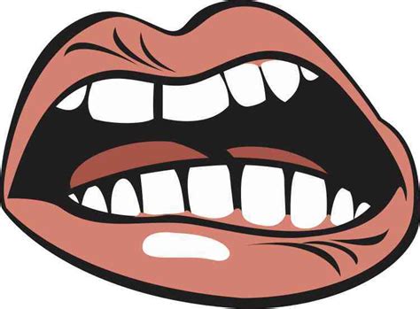 5in X 375in Angry Mouth Bumper Sticker Vinyl Truck Window Stickers Car