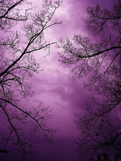 22 Best Sky Violet Images On Pinterest Purple Sky The