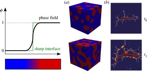 An Assessment Of Phase Field Fracture Crack Initiation And Growth