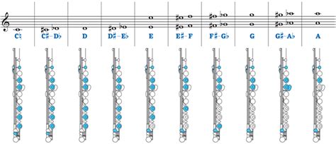 How does the b foot work on the flute? Flute Fingering Chart - toplayalong.com