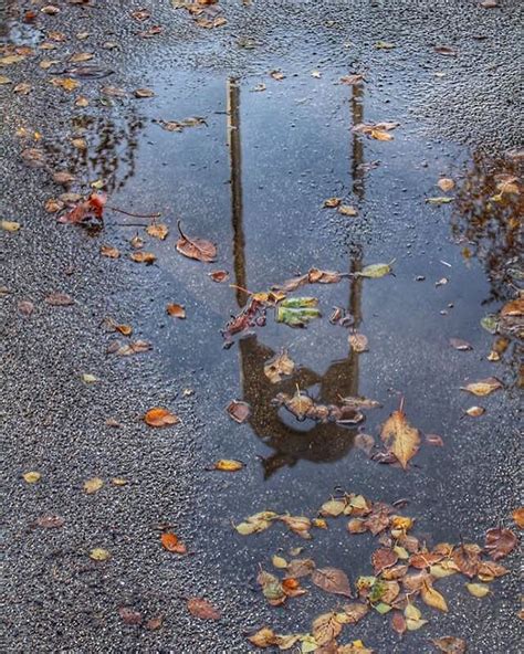 Autumn Puddle Reflection Shot Of George Wyllies Mhtothta Flickr