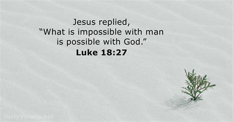Luke Bible