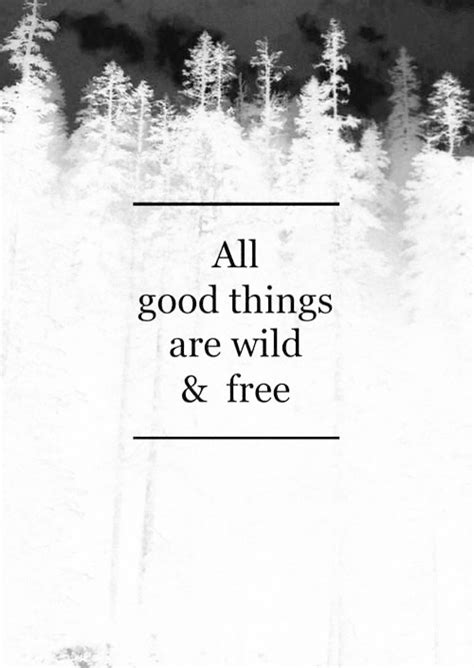 Plant strawberries together, make wild medicines, paint the sunrise. All good things are wild and free. quote | inspiration | freedom | tattoo inspiration ...