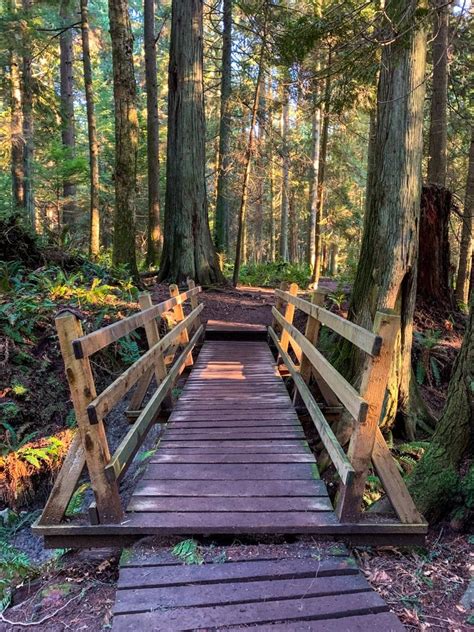 Soames Hill Hike On The Sunshine Coast Bc Happiest Outdoors Summit