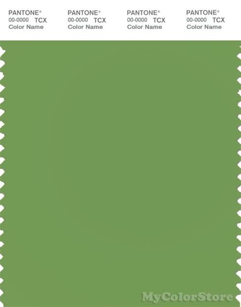 Meadow Green Color Names Color Swatch Green Pantone