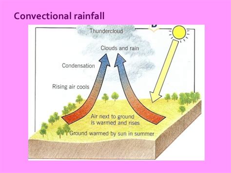 Convectional Rainfall Pdf