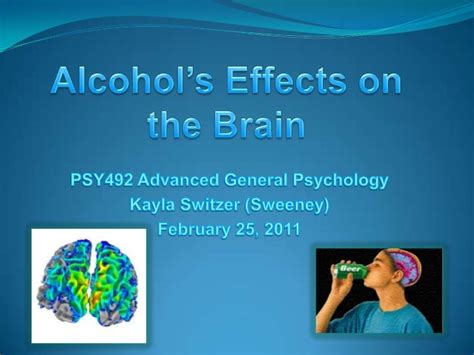 Alcohols Effects On The Brain