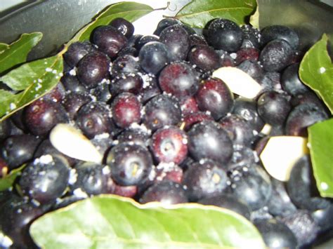 Per 1 litro di acqua 100 gr. RICETTA OLIVE NERE SOTTO SALE