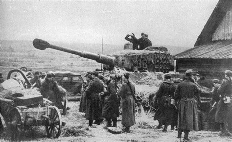 Tigre Álbum de fotos vol2 Fotografías es Bataille De Stalingrad