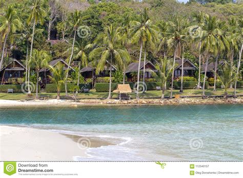 Tropical Sand Beach Sea Water Waves And Palm Trees