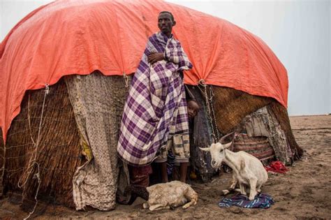 Somalilands Herders Devastated By Drought Climate Al Jazeera