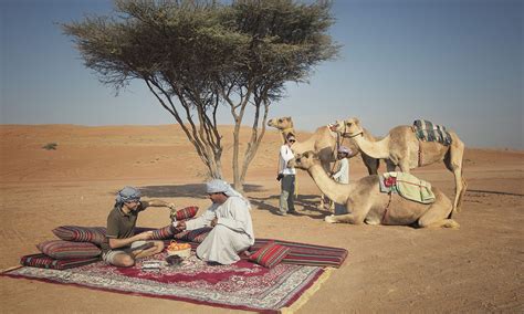 dine in the desert with bedouins get lost magazine