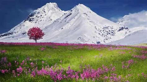 1 Snow Mountains Landscape Beautiful Nature