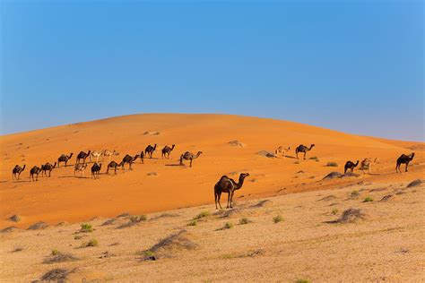 Rub Al Khali Desert Empty Quarter Liwa Desert United Arab Emirates Digital Art By Henglein