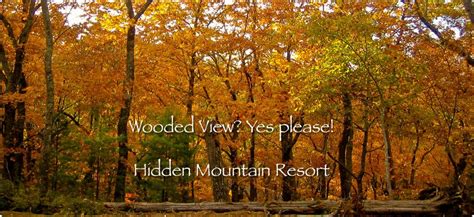 Hidden creek is just eight miles from the Hidden Mountain Resorts - Pigeon Forge, TN | Smoky ...
