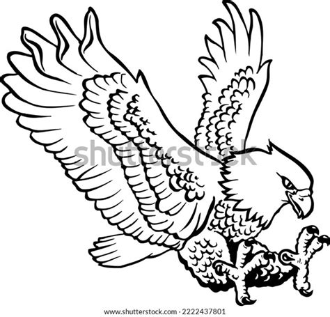 Bald Eagle Landing Vector Illustration Stock Vector Royalty Free