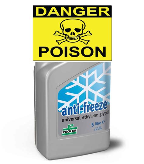 What are the symptoms of antifreeze poisoning in cats? Antifreeze poisoning in humans signs, symptoms & treatment