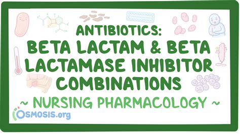 Antibiotics Beta Lactam And Beta Lactamase Inhibitor Combinations