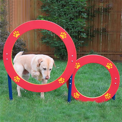Double Hoop Jump Dog On It Parks Caddetails