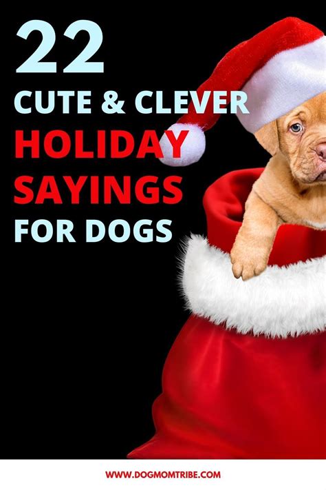 22 Cute And Clever Christmas Quotes For Your Dog Dog Mom Tribe Dog