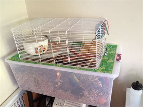 A Bin Cage With Topper And Travel Hamster Diy Cage Hamster House