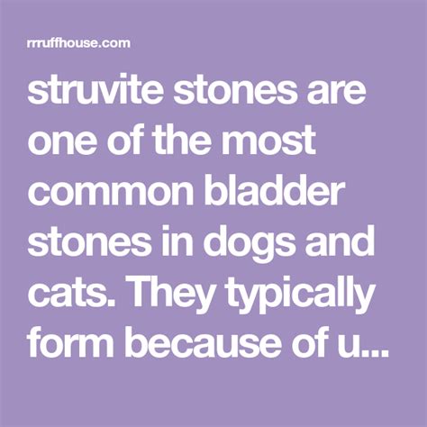 Stones come in many colors, shapes and sizes! struvite stones are one of the most common bladder stones ...