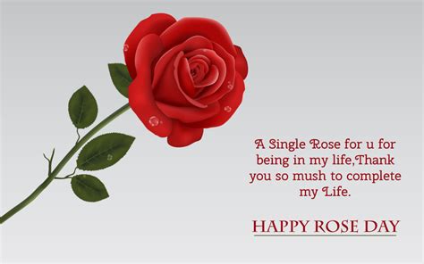 Happy Rose Day Wishes Wallpapers Greetings Messages Quotes Love Shayari