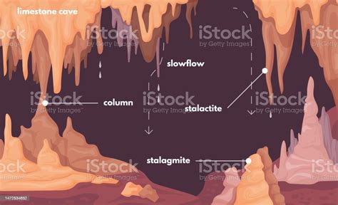 Stalagmite Infographic Stalagmites Formations Natural Stalactite Column