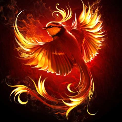 Fire Bird Fire Bird Mythical Creatures Art Phoenix Art