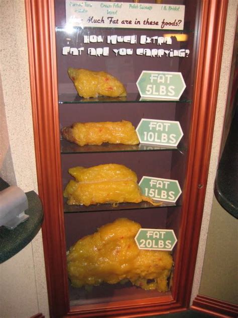 1 Pound Of Muscle Vs 1 Pound Of Fat Body By Vi