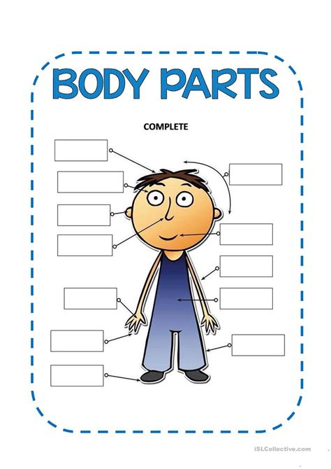 Match words and pictures (matching exercise) and write the wo. BODY PARTS worksheet - Free ESL printable worksheets made ...