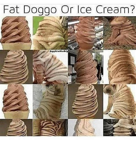 Fat Doggo Or Ice Cream Sapphir Mudk Meme On Meme