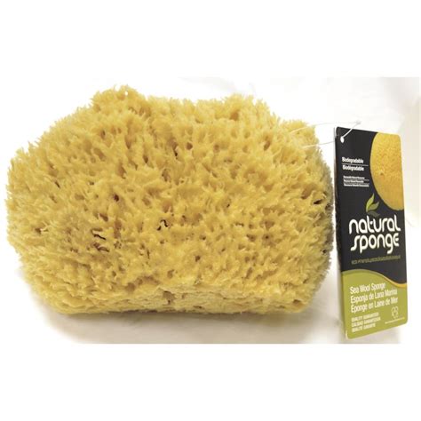 The Natural 7 8 In Sea Wool Sponge 4 Pack Sw 1 7080c The Home Depot