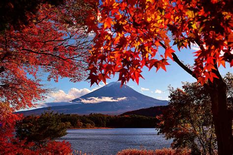 Fuji Kawaguchiko Autumn Leaves Festival 2018 Japan Travel Guide Jw