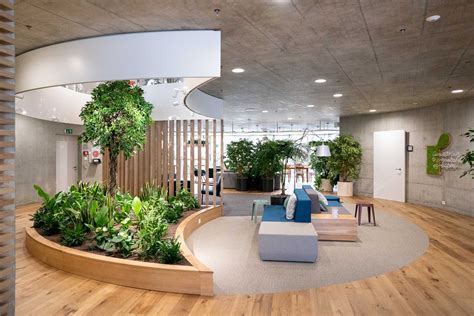 Benefits Biophilic Design Cognitive Performance In Workplaces