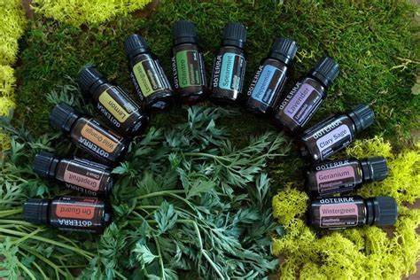 It delivers aromatherapy to the user. Why I Didn't Pass On doTERRA Essential Oils - Modern Wellness