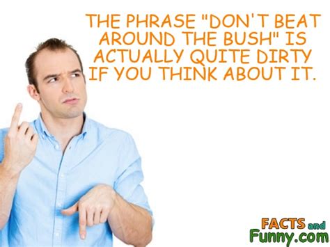 Funny Photo Of Phrase Saying And Dirty