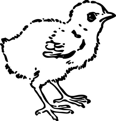 free chick black and white download free chick black and white png images free cliparts on