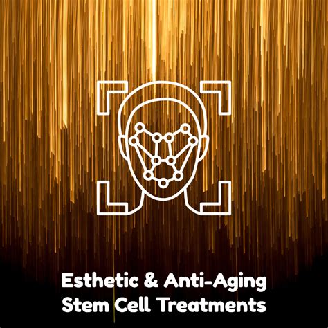 Esthetic And Anti Aging Stem Cell Therapy Cost And Info Dreambody Clinic