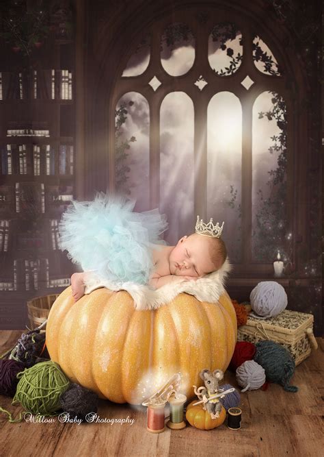 Newborn Princess Willow Baby Photography