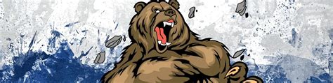 Russian Bears Cybersport Team ВКонтакте