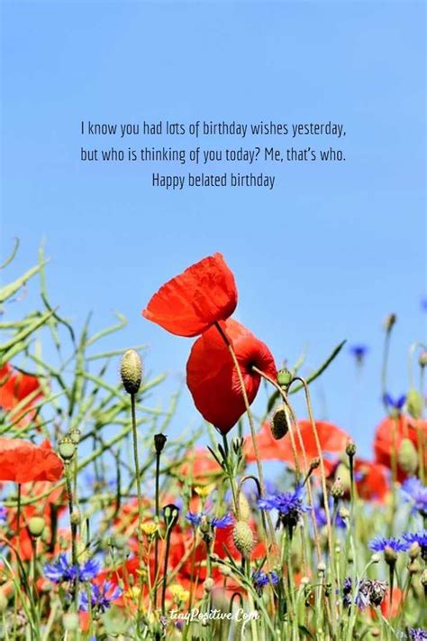 144 Happy Birthday Wishes And Happy Birthday Funny Sayings Tiny Positive