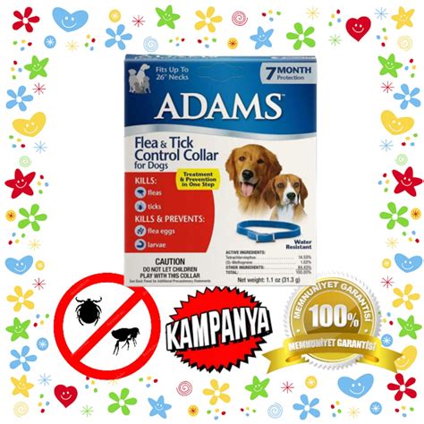 Simple Science: How to Make a Volcano with Kids