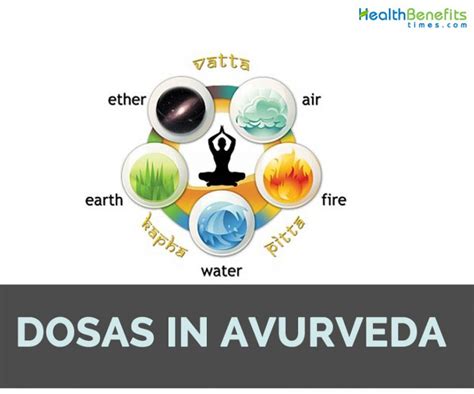 The Three Doshas In Ayurveda Vata Pitta Kapha