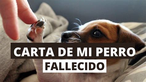 Carta De Perro Que Ha Fallecido Para Su Dueño 😢😢 Poemas Para Perros